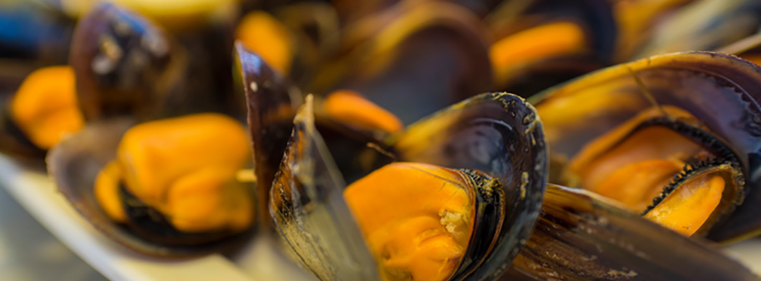 SENASA prohíbe extracción y venta de moluscos